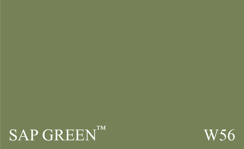 Couleur Peinture Farrow & Ball NHM W56 Sap Green : Vert terreux